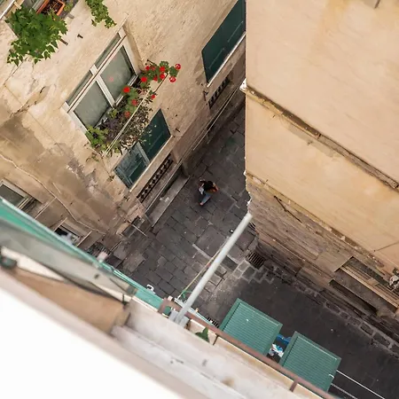 Zenart Deluxe * 热那亚