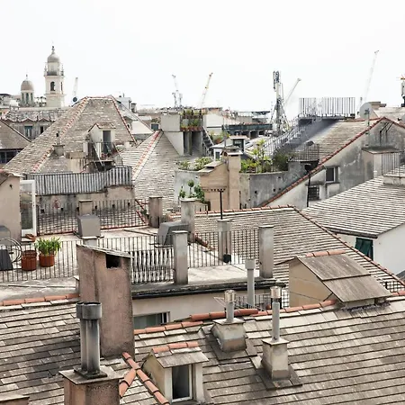 Zenart Deluxe 热那亚