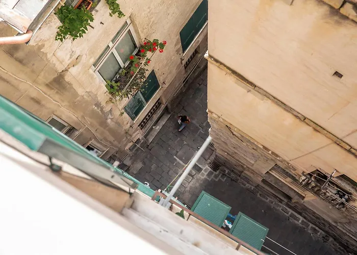 Zenart Deluxe * Janov