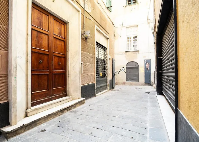 Zenart Deluxe * Janov