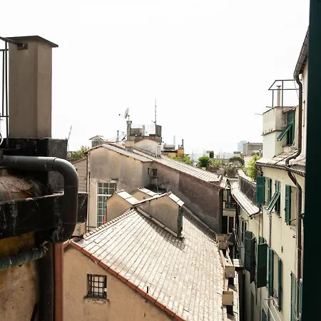 Zenart Deluxe * Genoa
